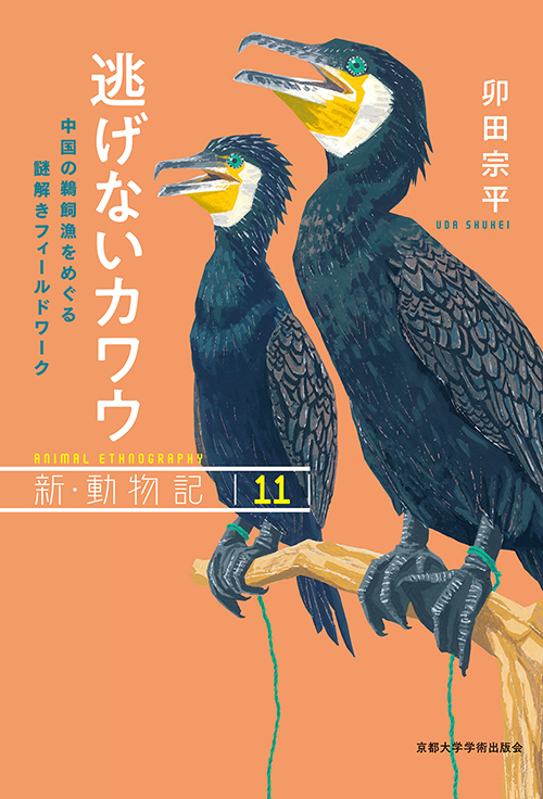 逃げないカワウ